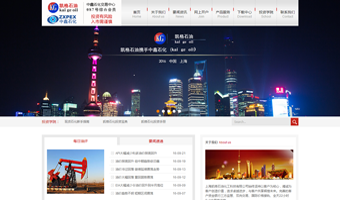 上海凯格石油化工科技有限公司网站开发